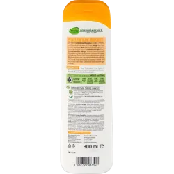 Șampon și balsam de păr Family 2 în 1, 300 ml