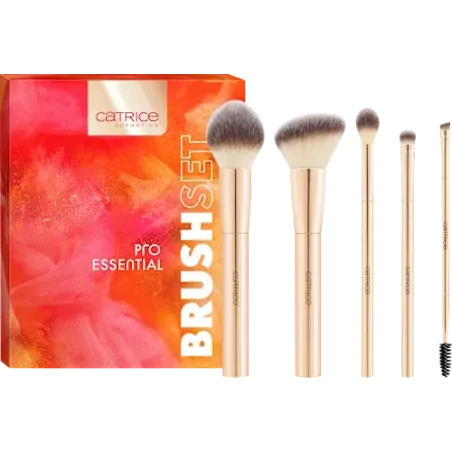 Set de pensule Pro Essential Brush 5 piese