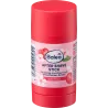 Stick după bărbierit cu extract de floare de cireș, 30 g